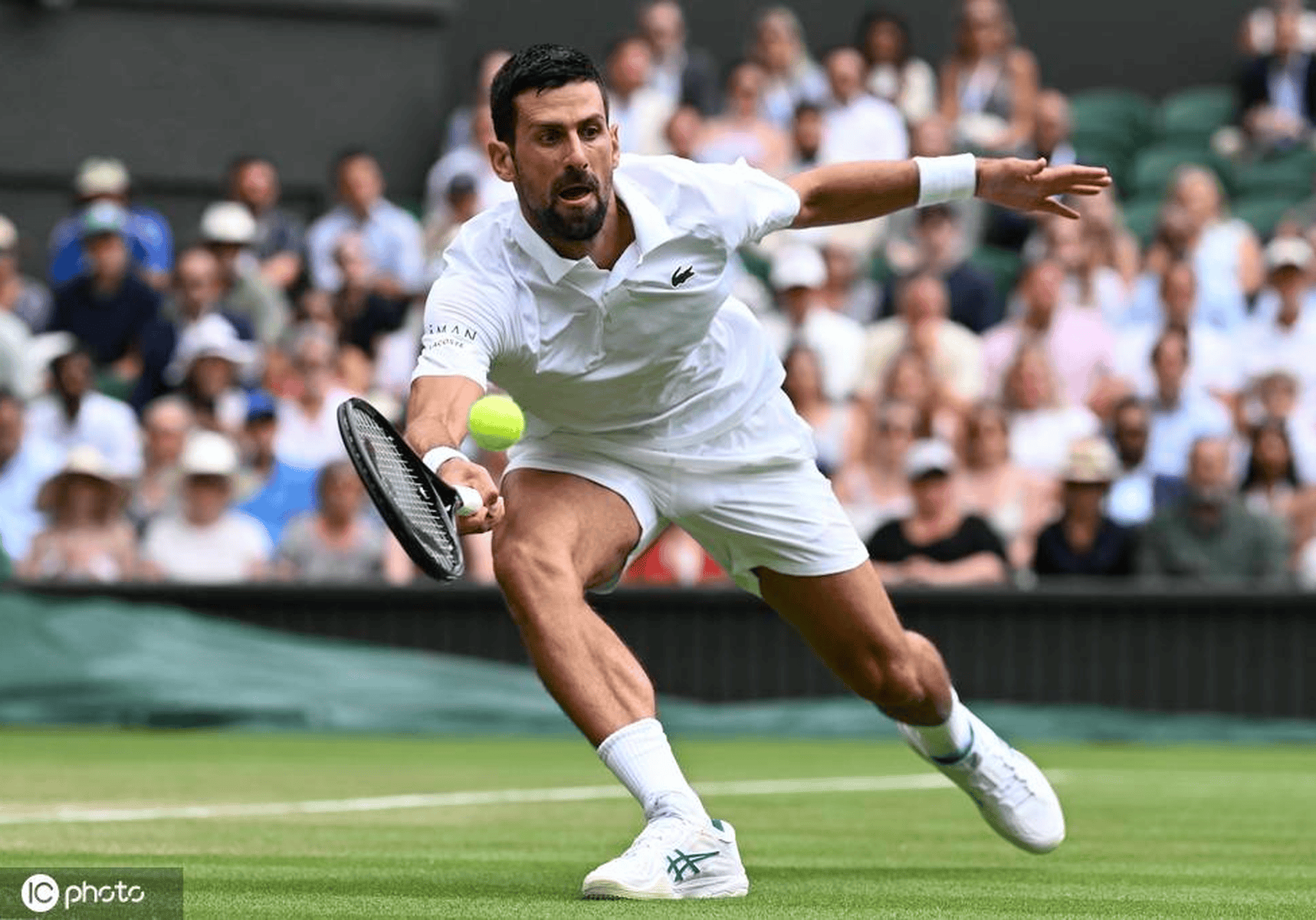 爱游戏-关于德约科维奇关键节点战术调整，日本队带队取胜！的信息